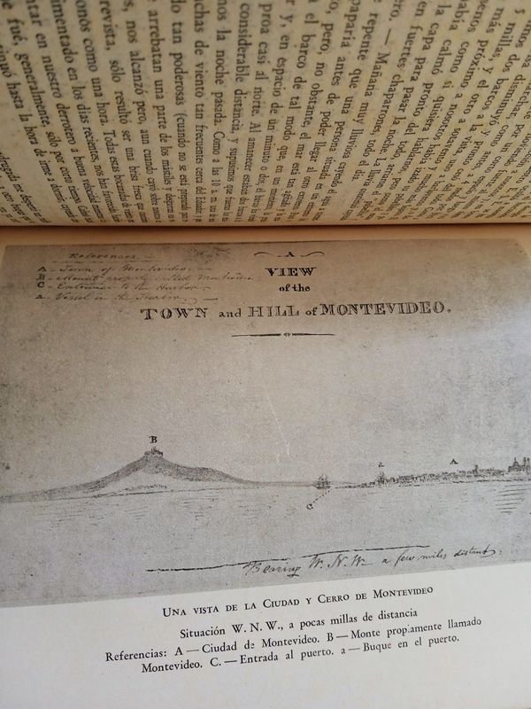 Item 883834 - Image 1