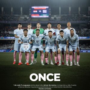 Camiseta y Medias de Fútbol de Uruguay Firmadas para Beneficencia - imagen 1