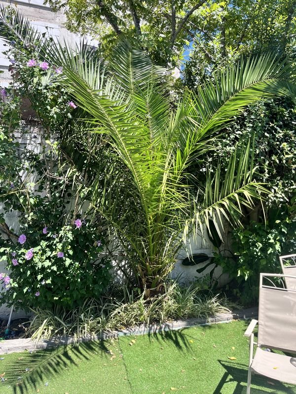 Item 878832 - Image 0