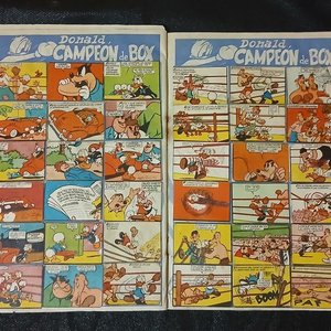 Álbum de Figuritas "Colección Donald Campeón" - Fútbol Uruguayo 1960 - imagen 15
