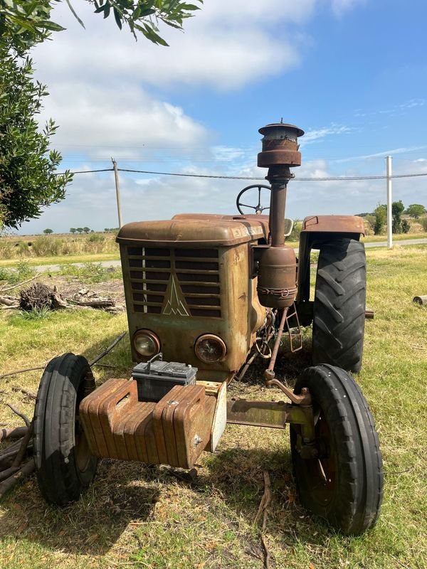 Item 864131 - Image 13