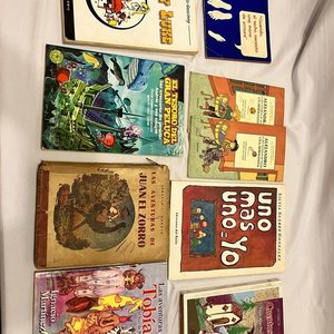 Lote Variado de Libros Infantiles, Juveniles y Cómics - imagen 2