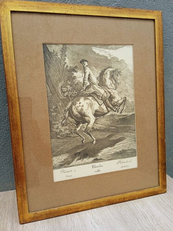 Item 884227 - Image 0