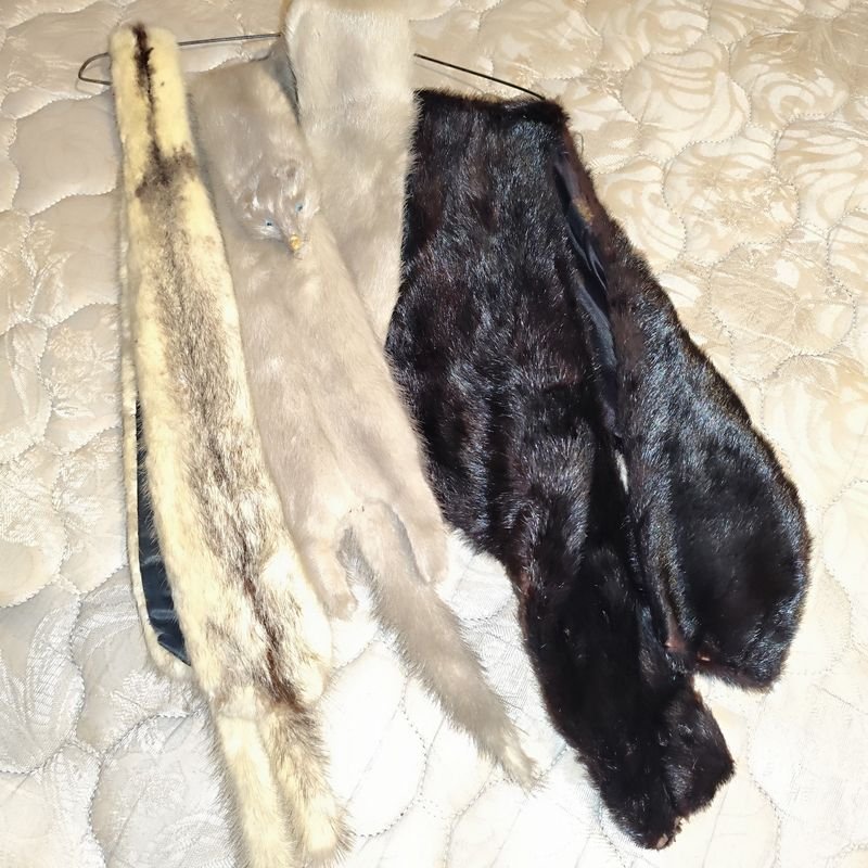 Item 880336 - Image 0