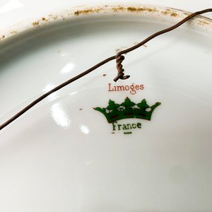 Dos Platos de Porcelana Francesa Limoges con Diseño Floral Blanco - imagen 5