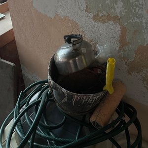 Lote anterior: Manguera Verde con Pava y Rodillo de Pintura