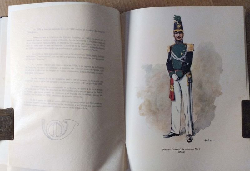 Libros de Historia Militar y Arte - imagen 11