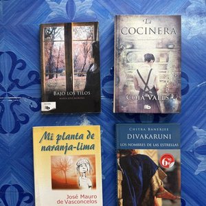 Lote de Novelas: Bajo los Tilos, La Cocinera, Mi Planta de Naranja-Lima y Los Nombres de las Estrellas - imagen 1