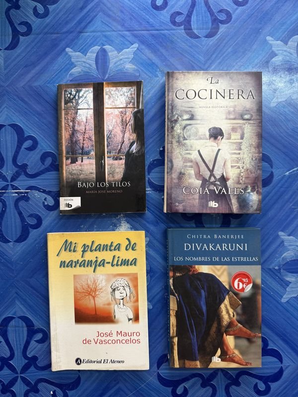 Lote de Novelas: Bajo los Tilos, La Cocinera, Mi Planta de Naranja-Lima y Los Nombres de las Estrellas