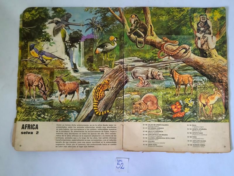 Item 844753 - Image 4