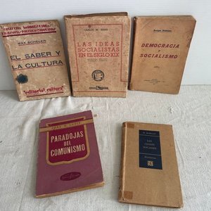 Lote anterior: Lote de Libros: Socialismo, Comunismo y Democracia