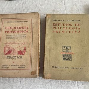 Lote de Libros de Psicología y Estudios - imagen 4