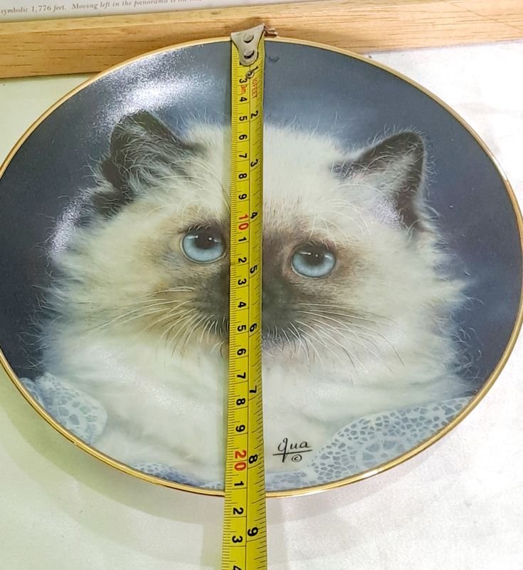 Item 879755 - Image 3