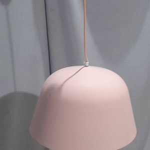 Lote siguiente: Colgante de Luz Rosa de Chapa