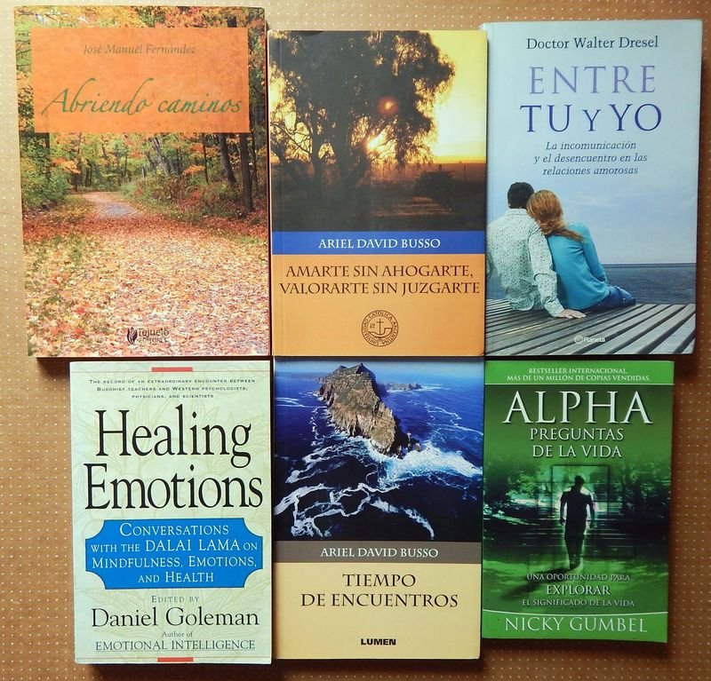 Lote de 6 Libros de Desarrollo Personal y Emocional