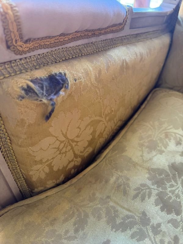 Sillones franceses de un cuerpo con detalles en el tapizado - imagen 13