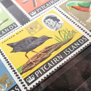 10 Sellos de Islas Pitcairn 1964 - Reina Isabel II - Sin Usar - imagen 2