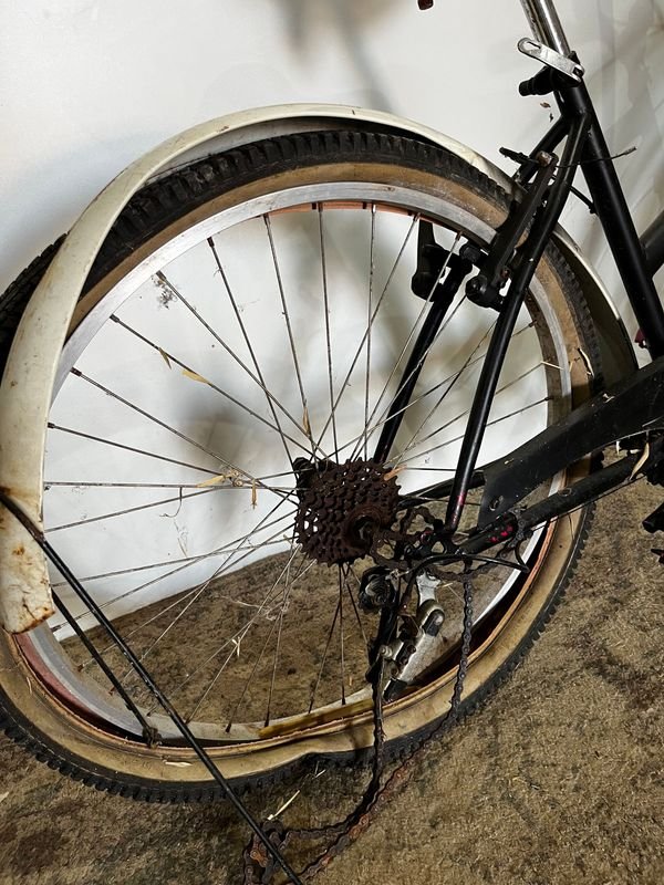 Item 875780 - Image 4