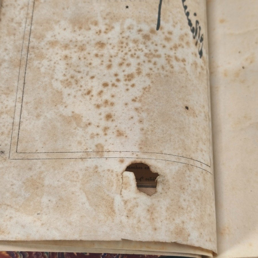 Libros antiguos y modernos, con detalles de estilo y materiales - imagen 21