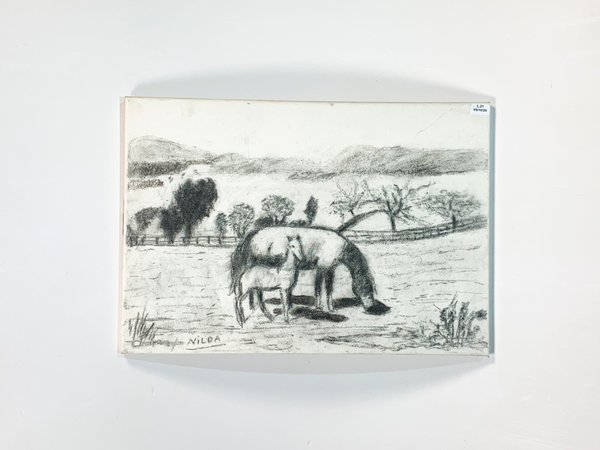 Cuadro al óleo en blanco y negro: Paisaje campestre con caballos y sierras, firmado por Nilda - imagen 1