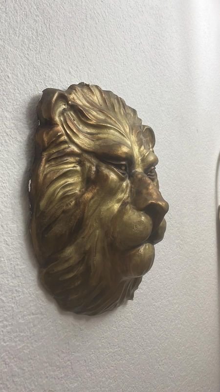 Rostro de León en Yeso con Textura Detallada - imagen 2