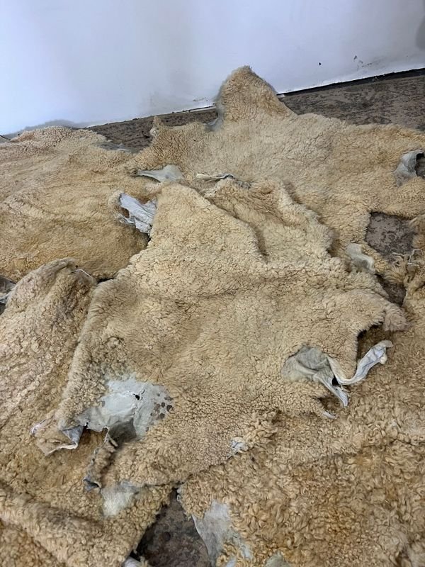 Item 848650 - Image 3