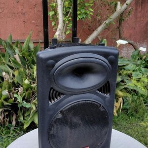 Lote siguiente: Parlante Profesional Telefunken con Ruedas y Manija