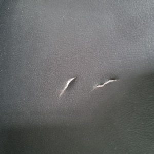 Par de Sillas Modernas Diseño Eames Plástico Negro y Madera Clara - imagen 5