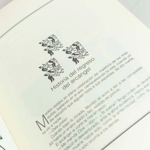 Las Palabras Andantes de Eduardo Galeano con Grabados de J. Borges - imagen 2