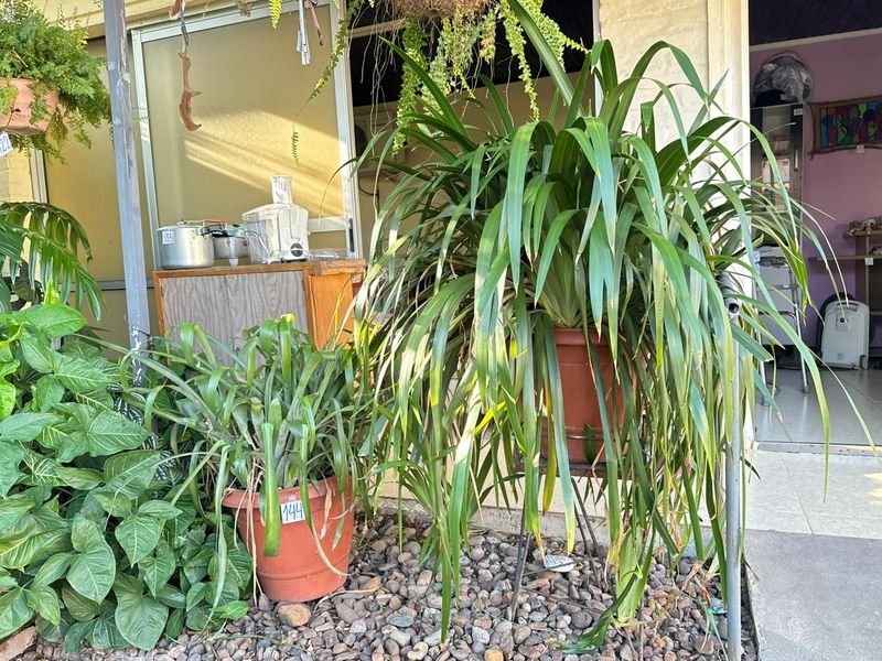 Item 892400 - Image 0