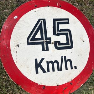 Cartel de señalización de velocidad 45 km/h, diámetro 75cm - imagen 1