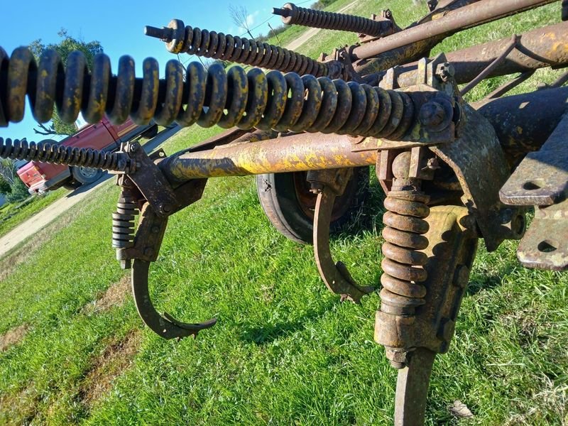 Cinzel Agrícola en Mal Estado - imagen 2