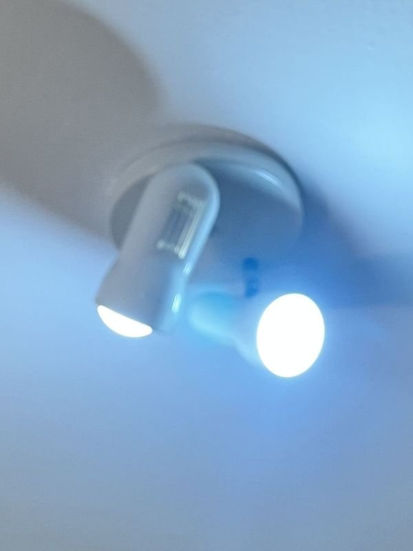 Item 878841 - Image 1