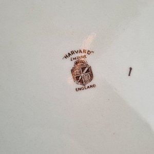 Juego de 11 Piezas de Loza Inglesa "Harvard Empire" con Flores - imagen 4