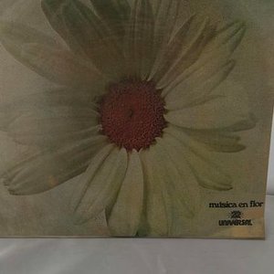 Lote siguiente: Vinilo "Música en Flor" Varios Intérpretes Hispavox