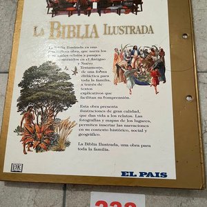 La Biblia Ilustrada: Relatos del Antiguo y Nuevo Testamento con Mapas y Contexto Histórico - imagen 2