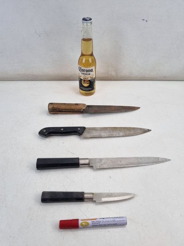 Set de 4 Cuchillos de Cocina con Mangos Variados y Marca Palermo