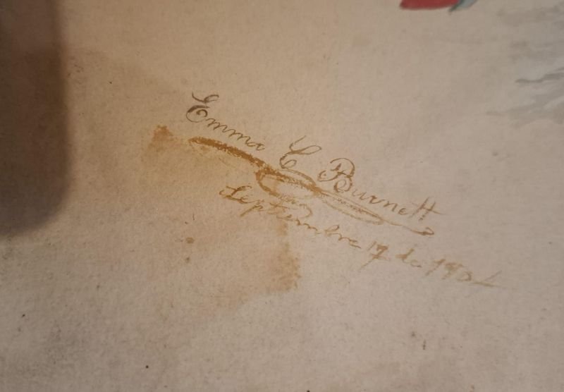 Item 856341 - Image 3