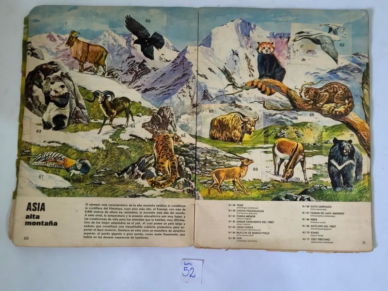 Item 844753 - Image 5