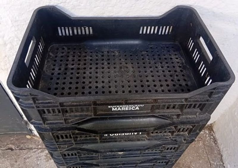 Item 893645 - Image 2