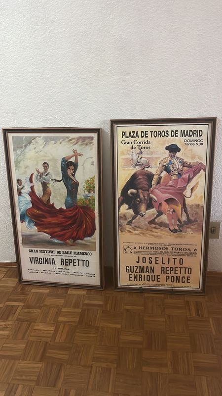 Dos cuadros decorativos flamencos y de toros