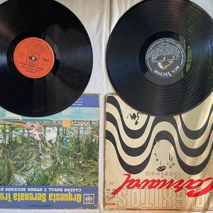 Lote de 2 Discos de Vinilo: Orquesta Serenata Tropical y 20 Éxitos Carioca - imagen 1