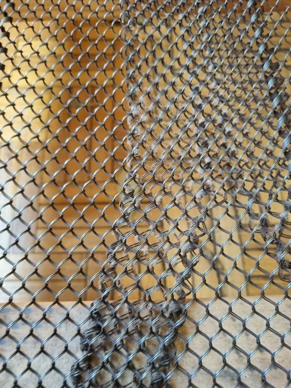 Item 875984 - Image 11