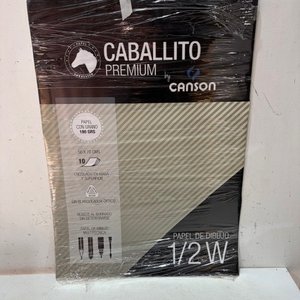 Lote siguiente: Papel de Dibujo Caballito Premium 1/2 W Canson