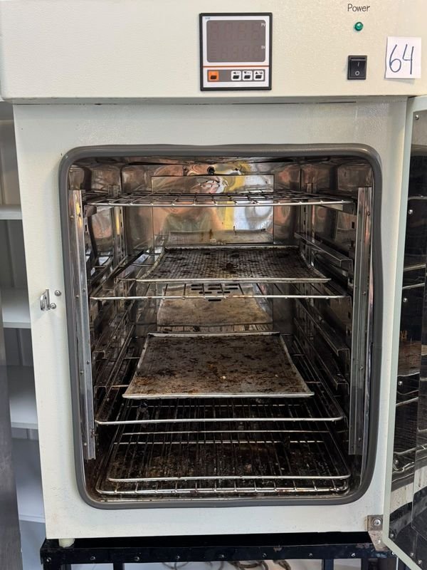 Horno Deshidratador Digital Industrial con Bandejas