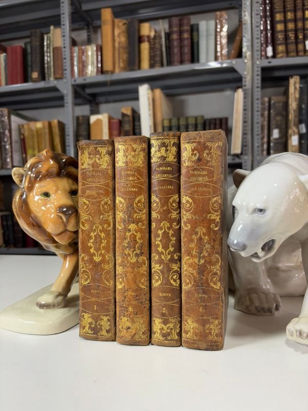 Item 879441 - Image 0