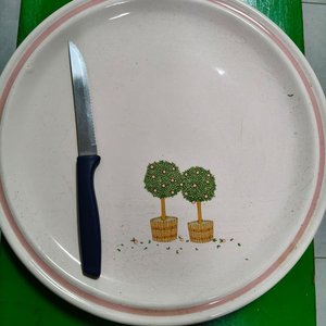 Lote siguiente: Plato de Loza Rosa con Diseño de Árboles