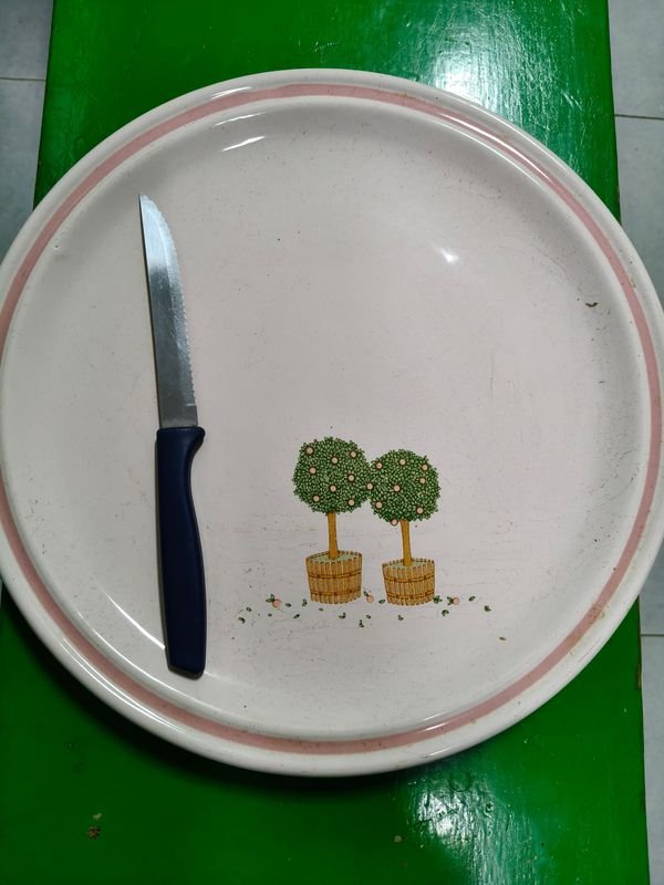 Plato de Loza Rosa con Diseño de Árboles