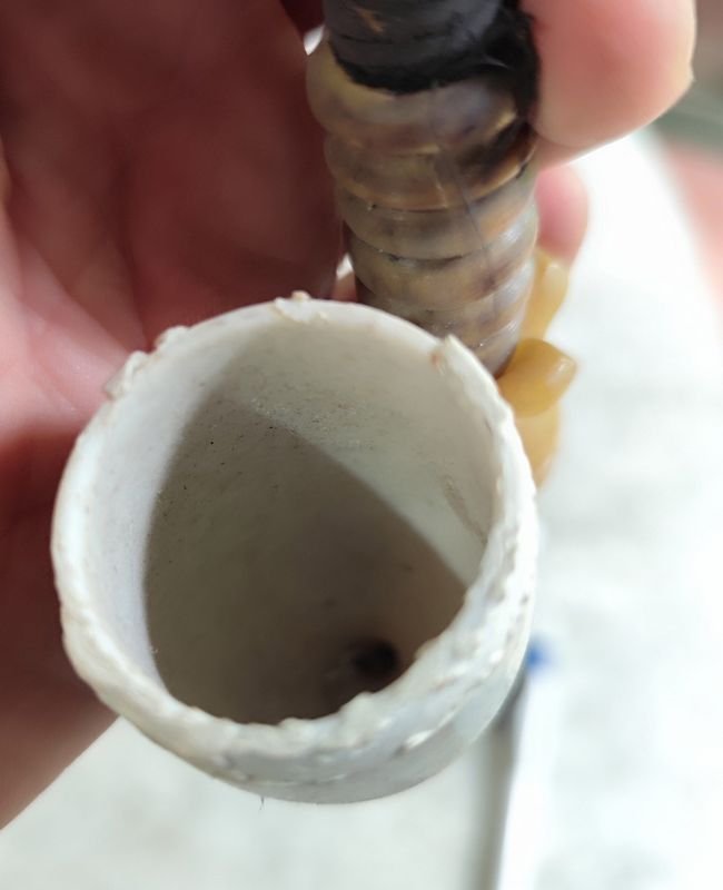 Item 880134 - Image 3