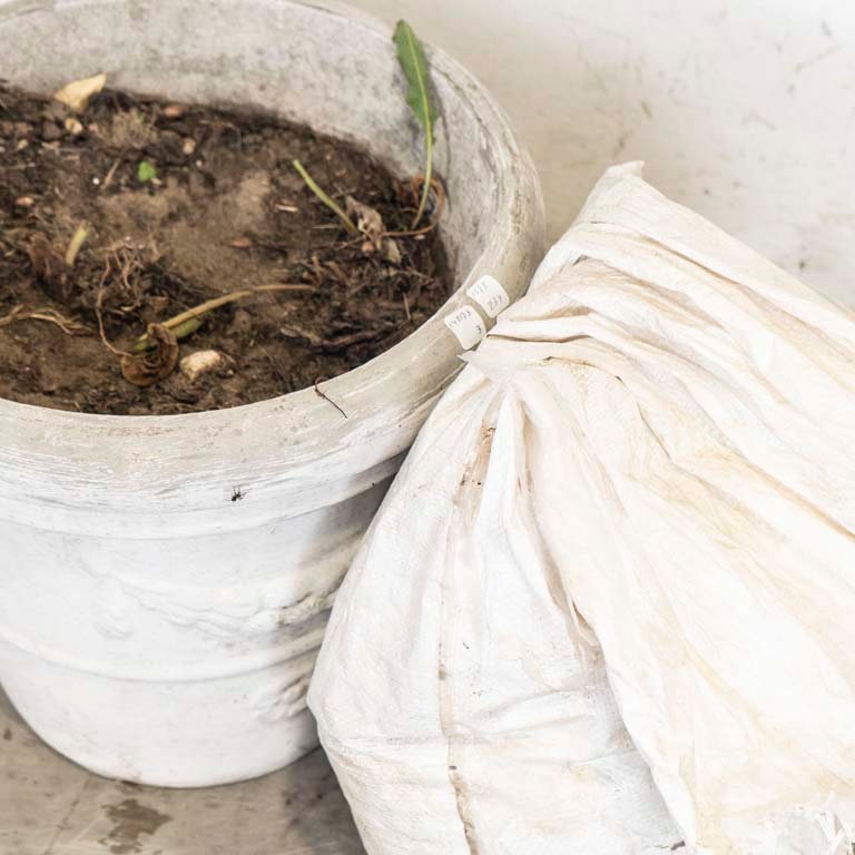 Maceta y bolsa de tierra para jardinería - imagen 2